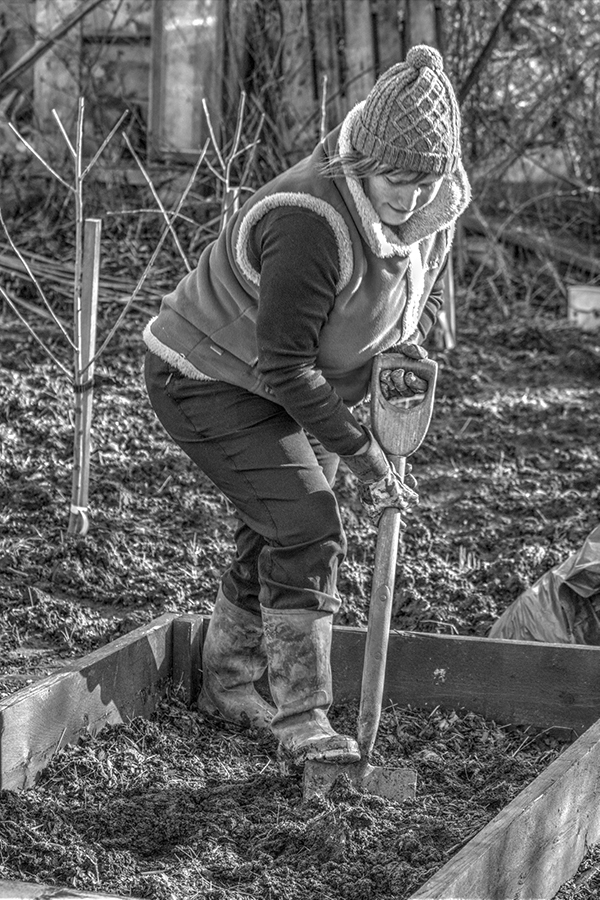 Female plot holder digging